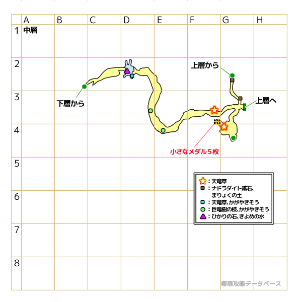 神獣の森中層マップ